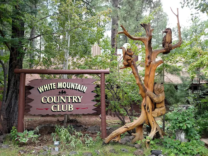 Raun Alosi Band (Private)